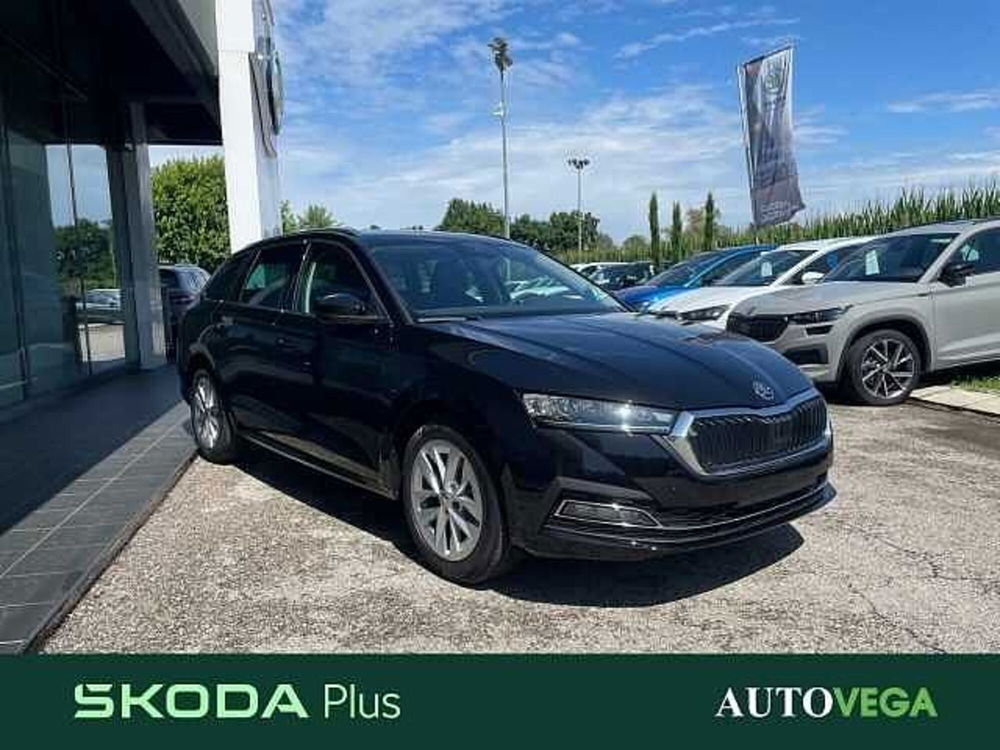 Skoda Octavia Station Wagon usata a Vicenza (3)