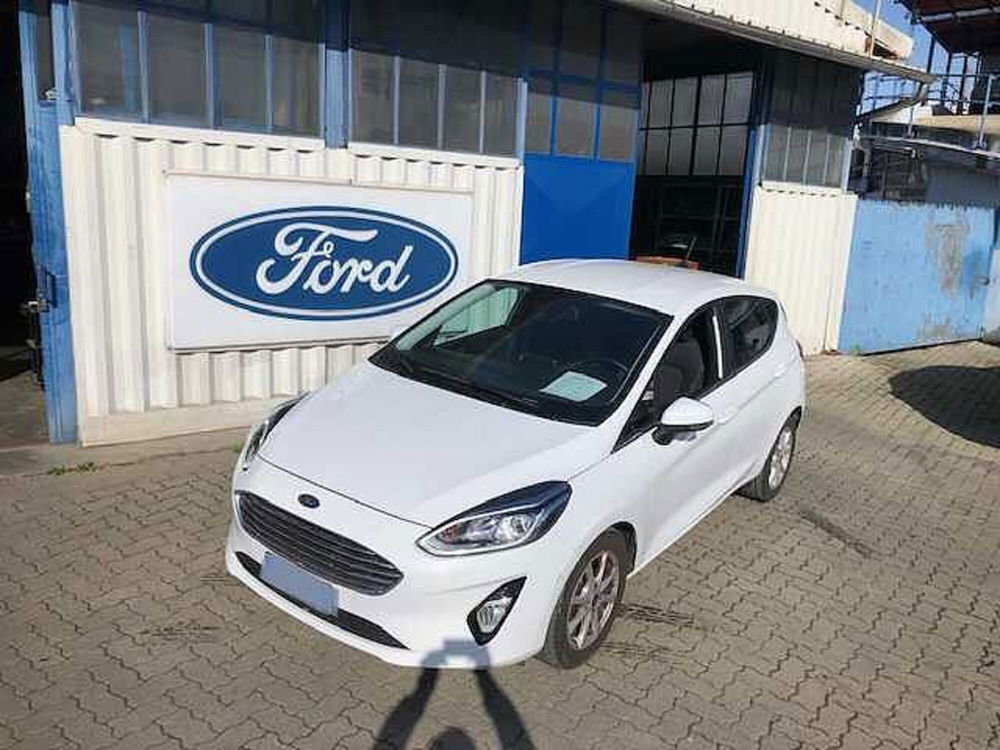 Ford Fiesta usata a Torino (2)