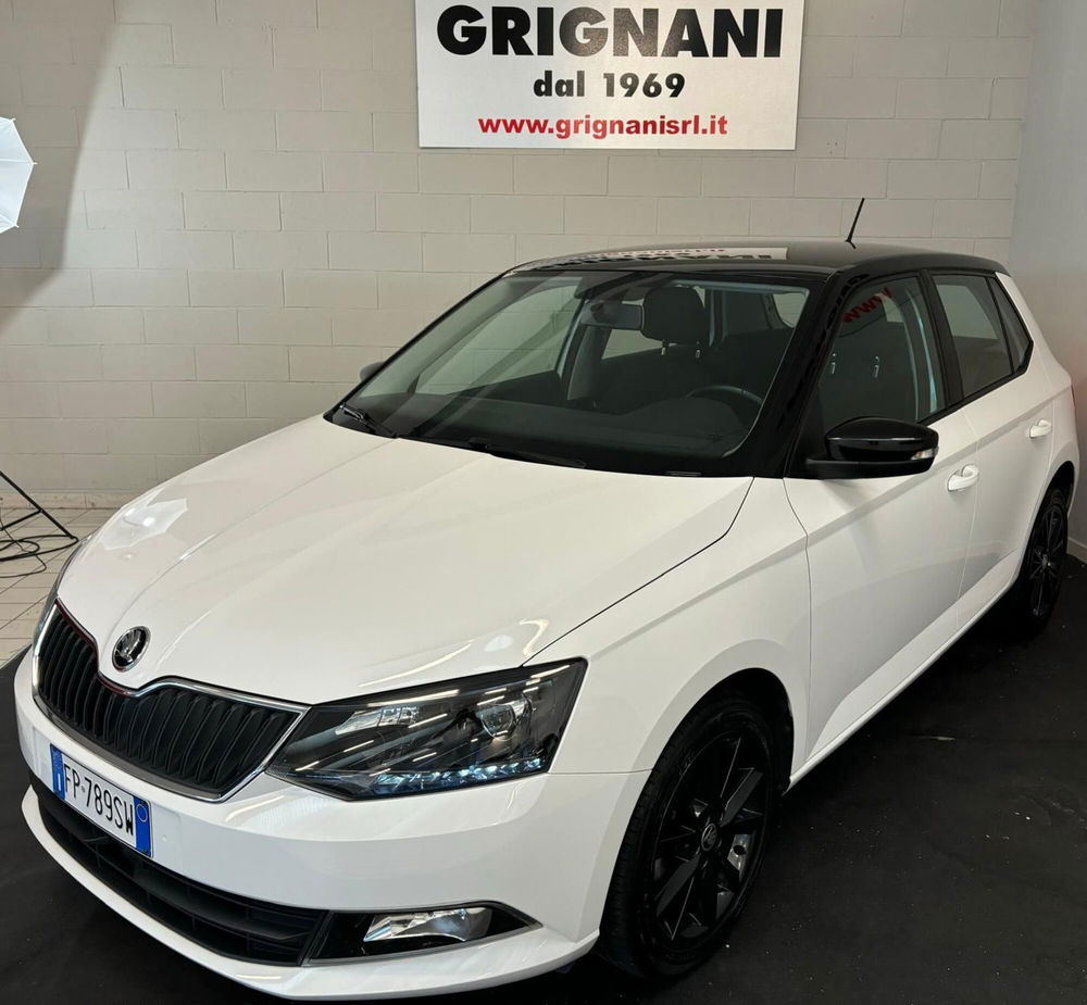 Skoda Fabia usata a Pavia (3)