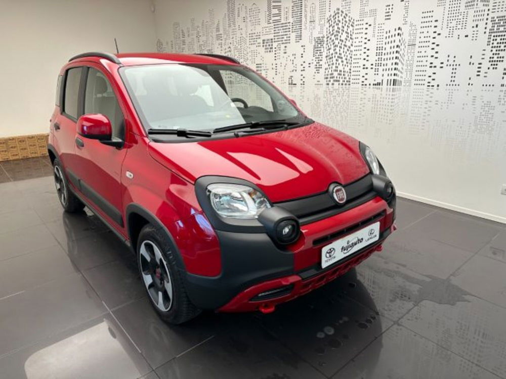 Fiat Panda Cross usata a Cuneo (2)