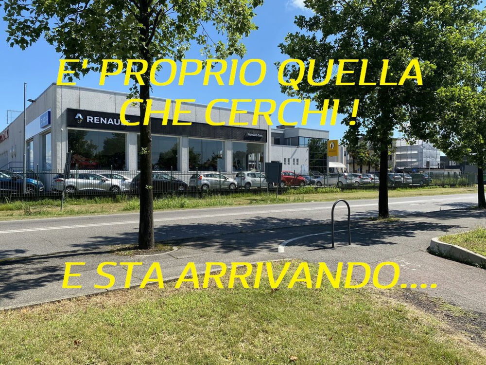 Renault Clio usata a Monza e Brianza (2)