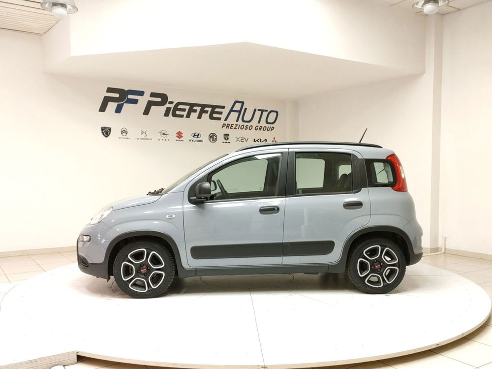 Fiat Panda usata a Teramo (2)