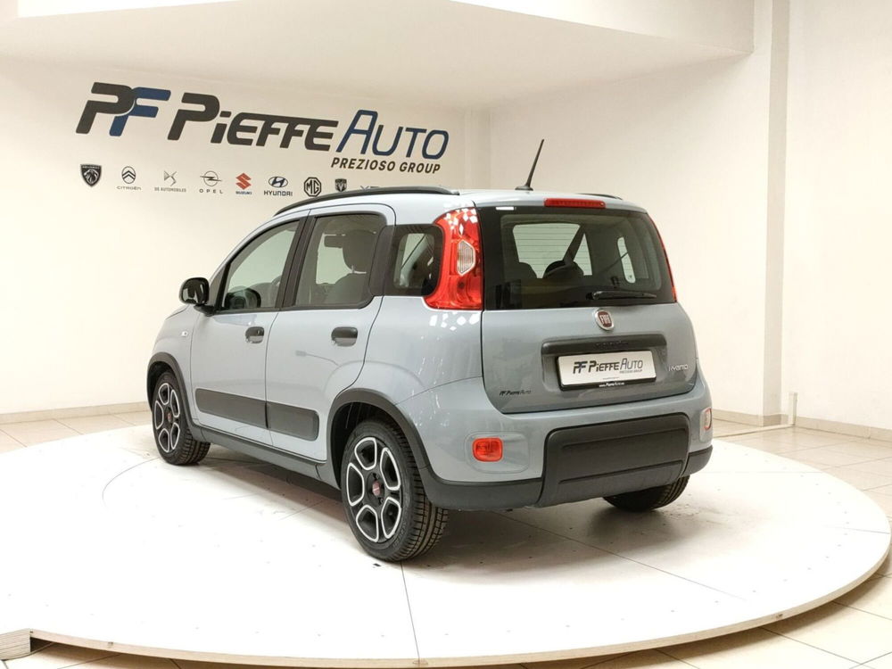 Fiat Panda usata a Teramo (3)