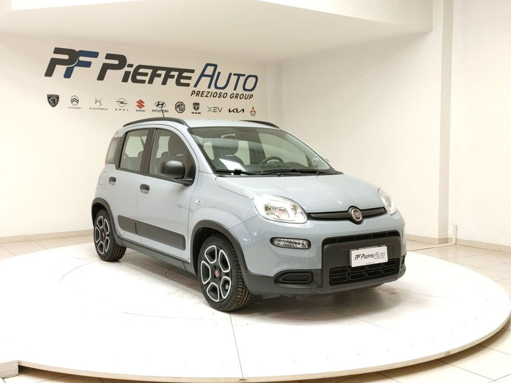 Fiat Panda usata a Teramo (6)