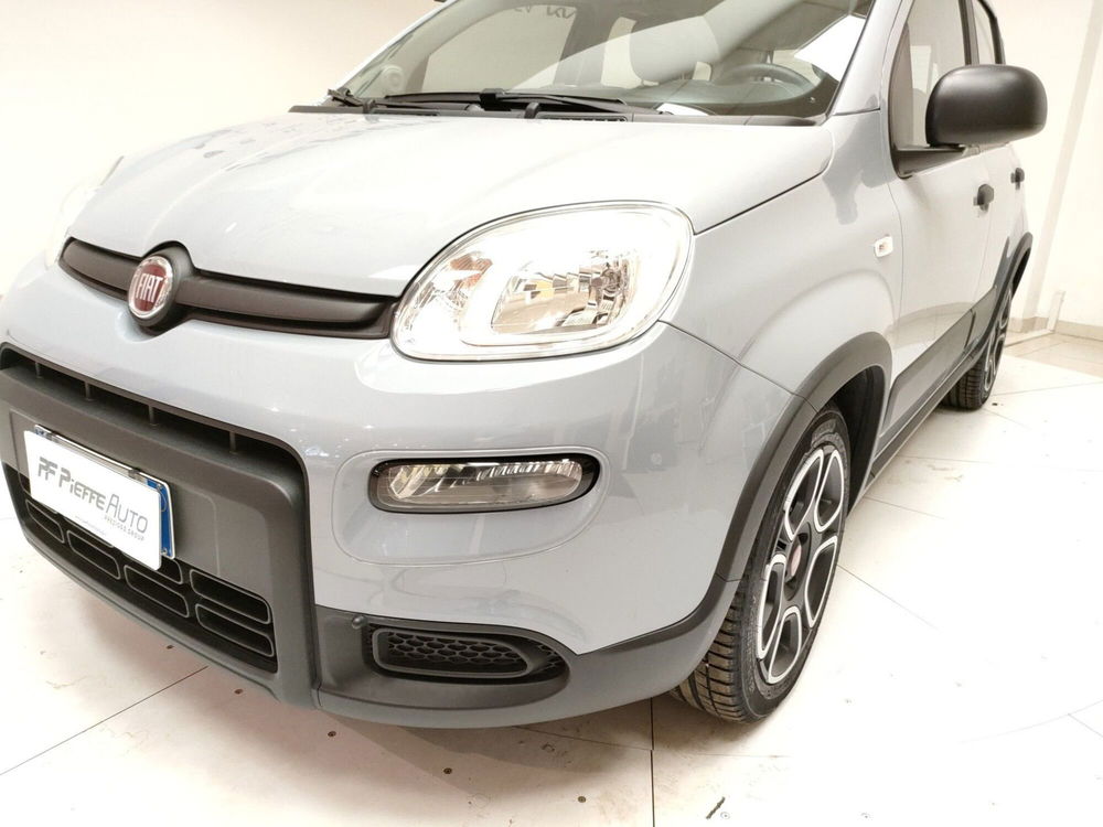 Fiat Panda usata a Teramo (8)