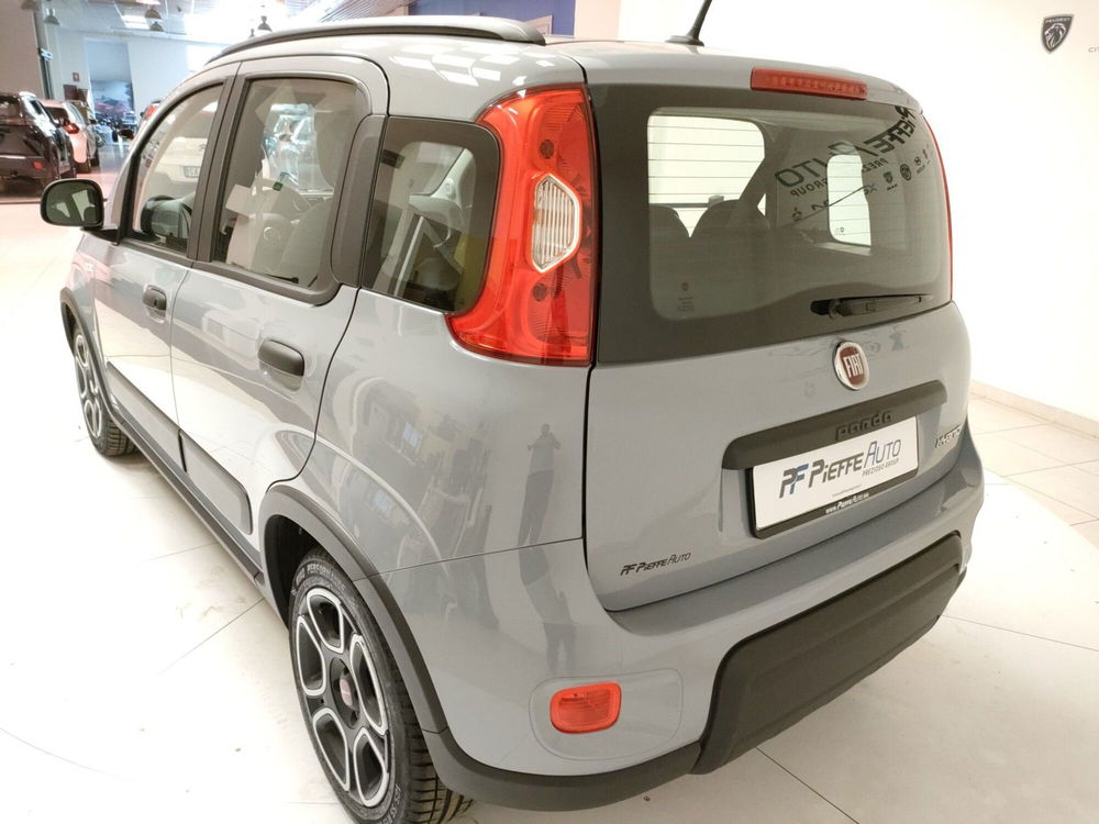 Fiat Panda usata a Teramo (9)