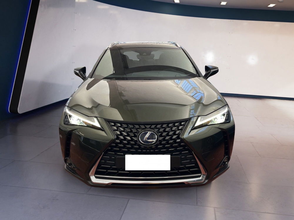 Lexus UX usata a Torino