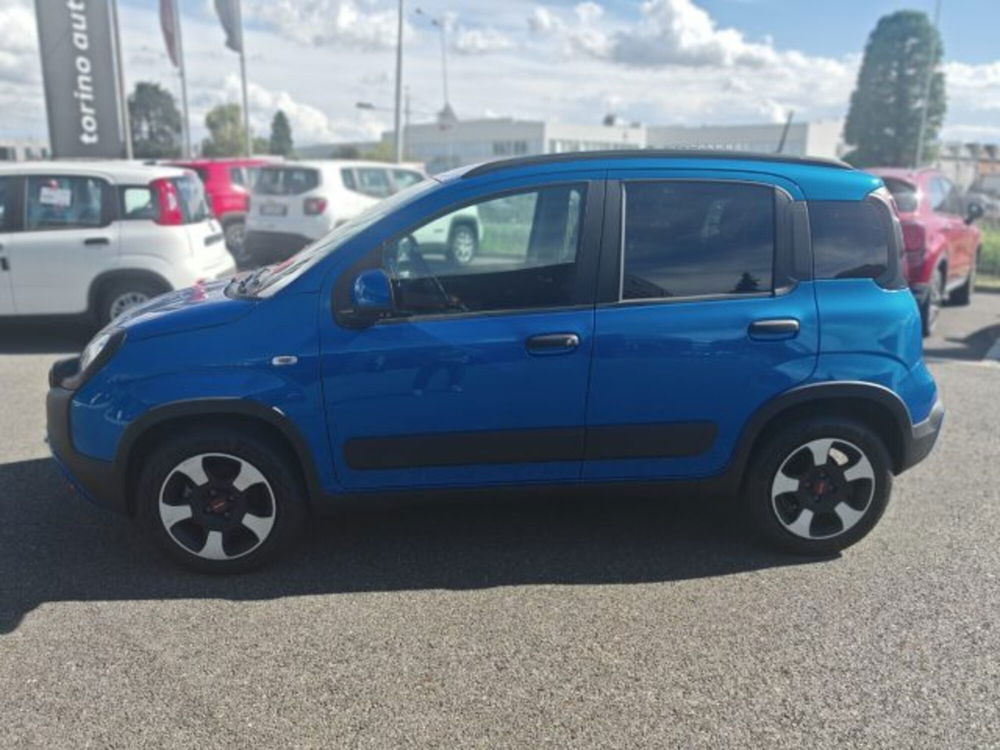 Fiat Panda Cross usata a Torino (4)