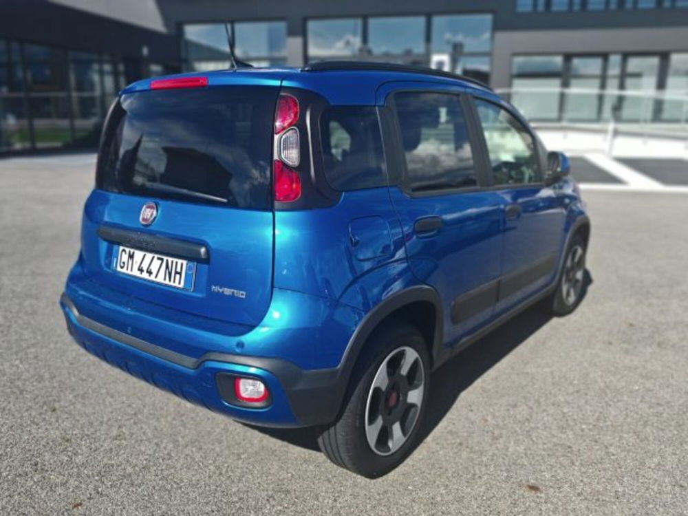 Fiat Panda Cross usata a Torino (6)