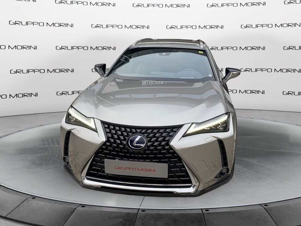 Lexus UX usata a Forlì-Cesena (2)