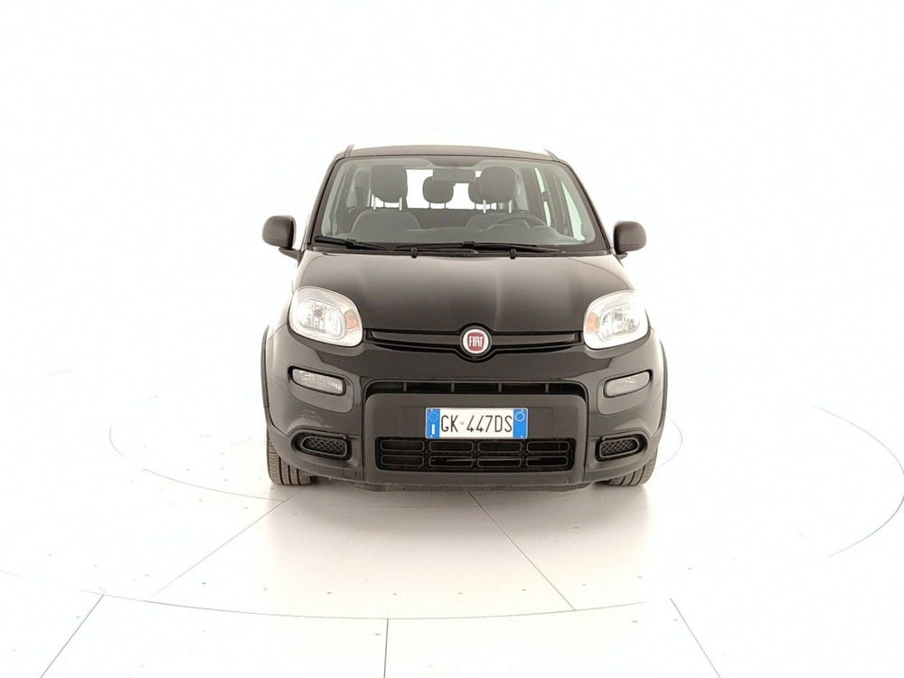 Fiat Panda usata a Caserta (2)