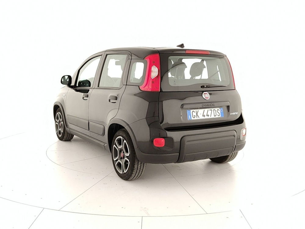 Fiat Panda usata a Caserta (4)