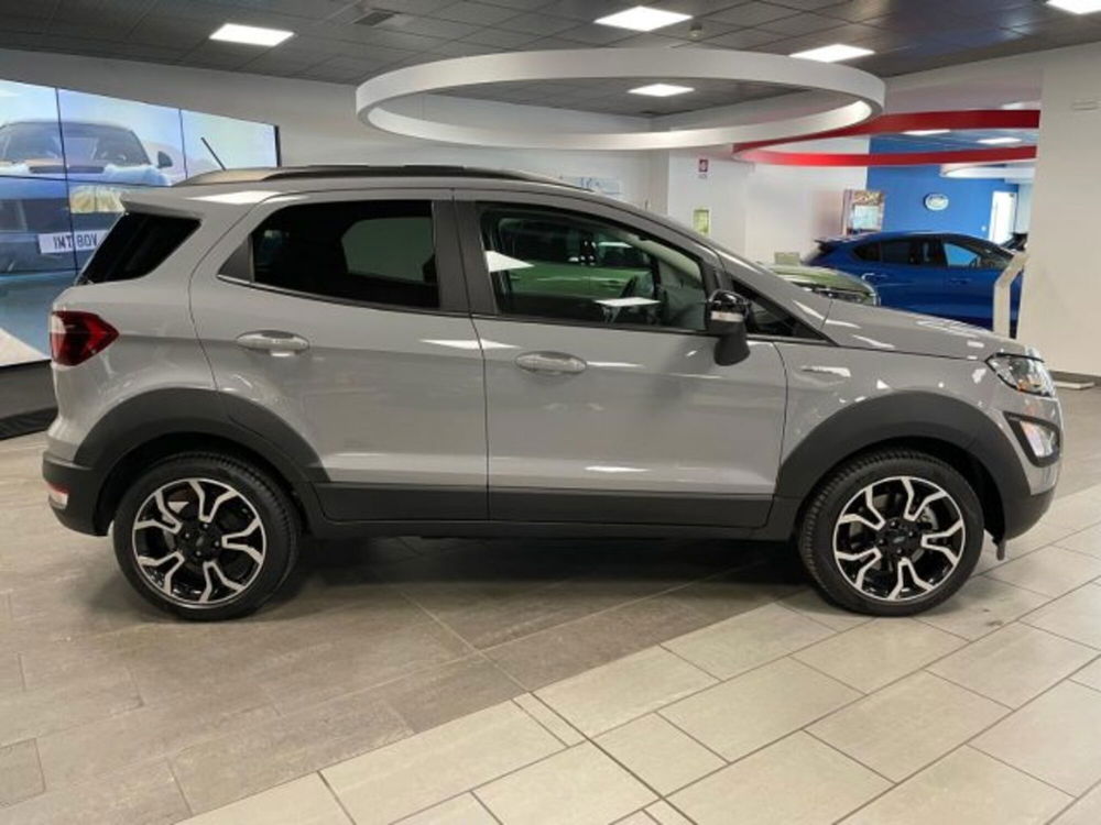 Ford EcoSport usata a Cuneo (8)