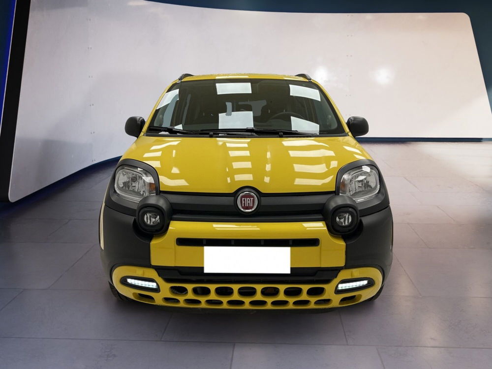 Fiat Panda Cross usata a Torino