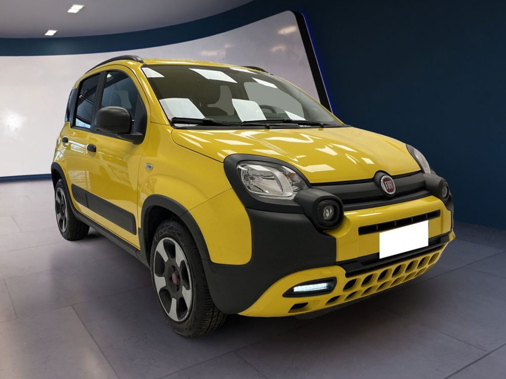 Fiat Panda Cross usata a Torino (2)