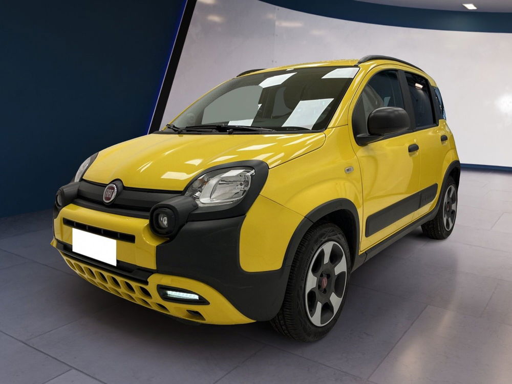 Fiat Panda Cross usata a Torino (3)