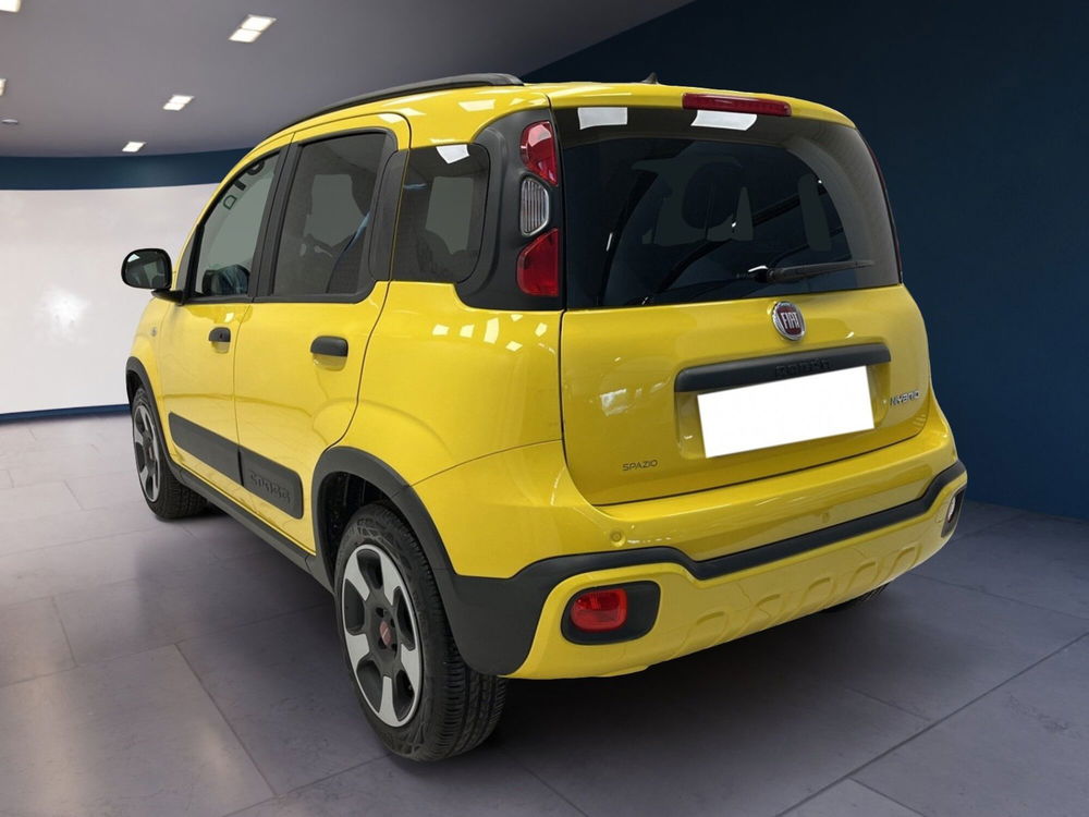 Fiat Panda Cross usata a Torino (4)