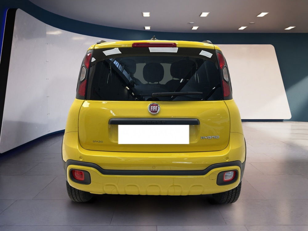 Fiat Panda Cross usata a Torino (5)