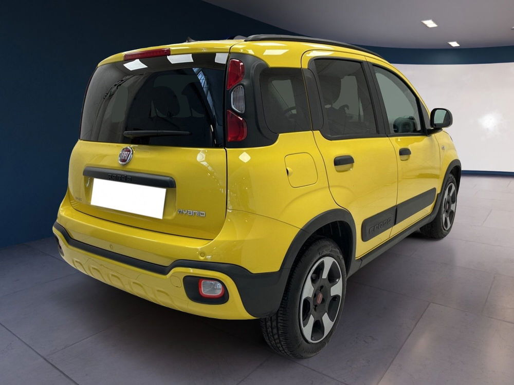 Fiat Panda Cross usata a Torino (6)