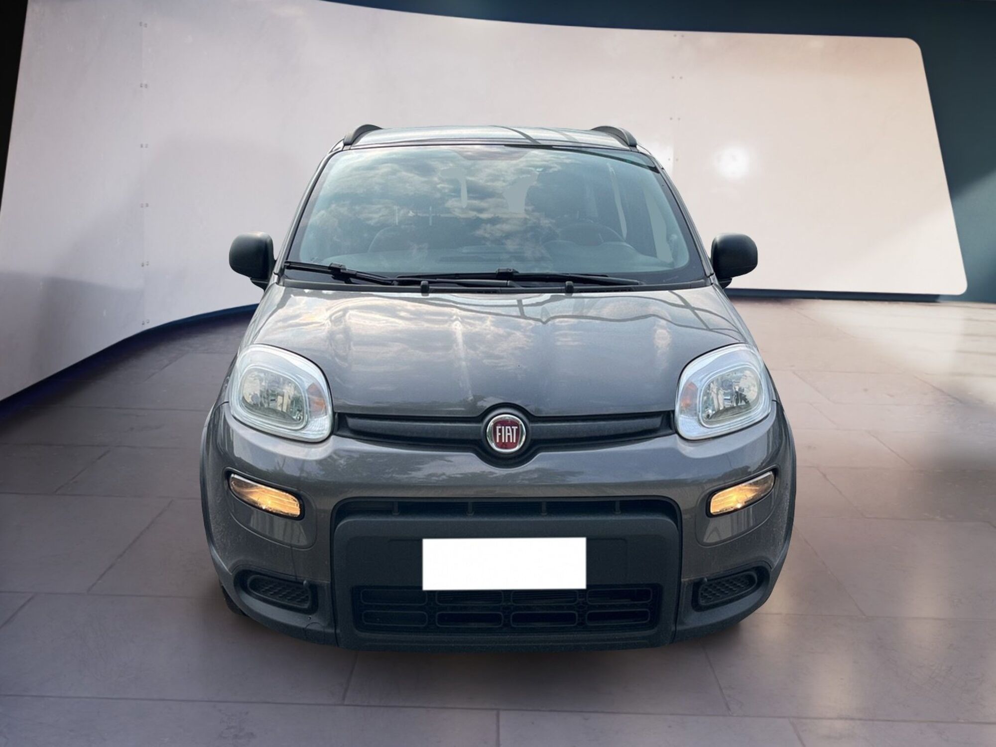 Fiat Panda 1.0 firefly hybrid s&amp;s 70cv 5p.ti del 2021 usata a Torino