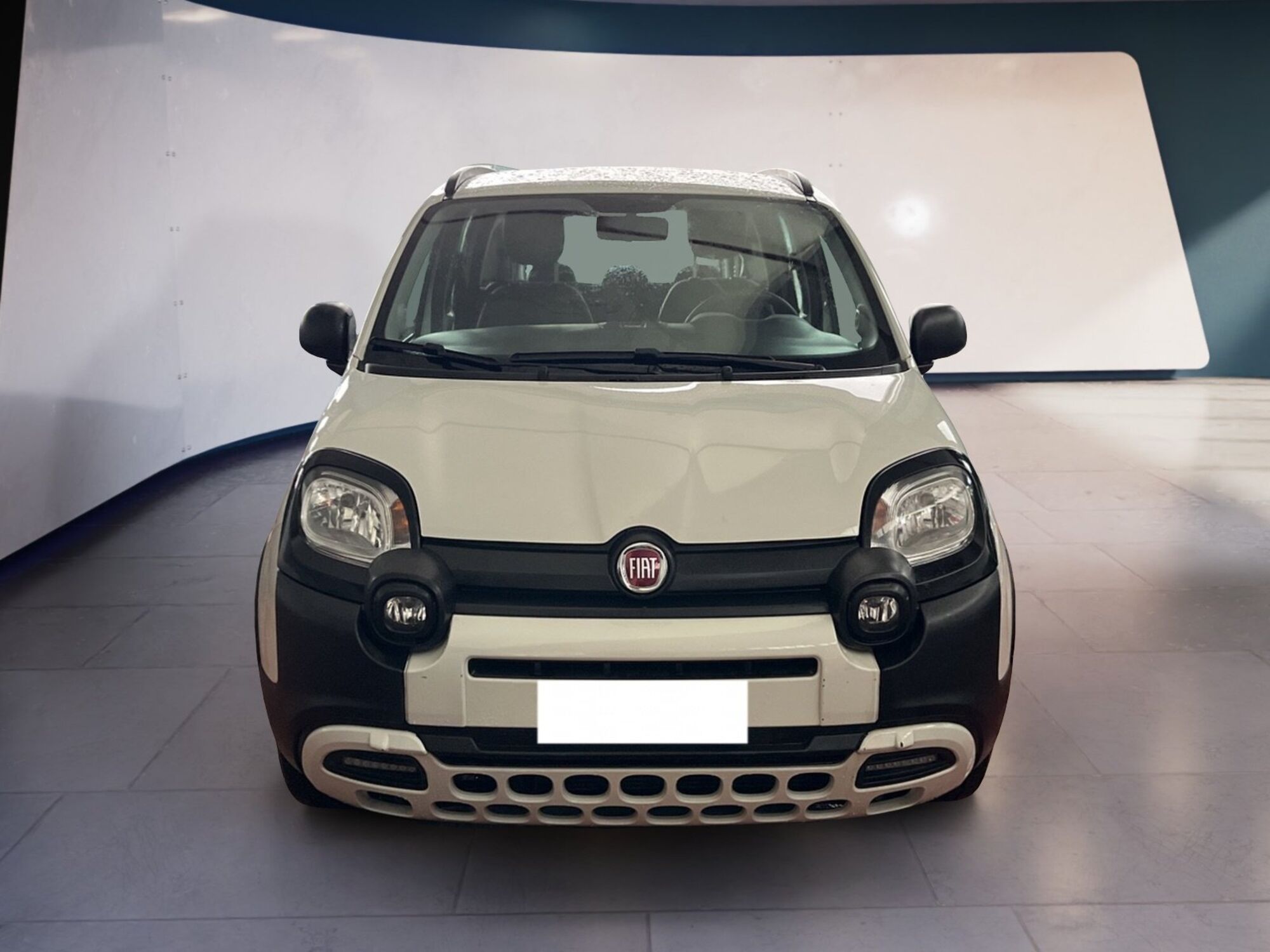 Fiat Panda 1.2 City Cross  del 2019 usata a Torino