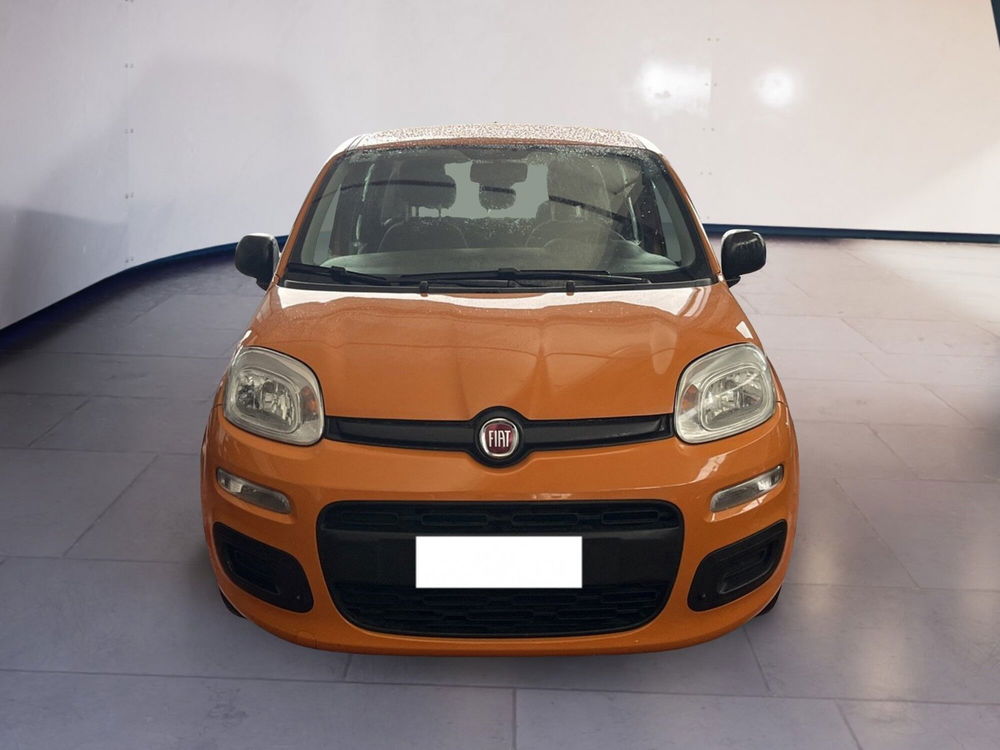 Fiat Panda usata a Torino (15)