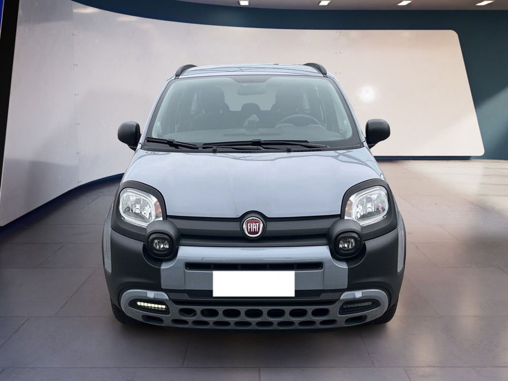 Fiat Panda Cross usata a Torino