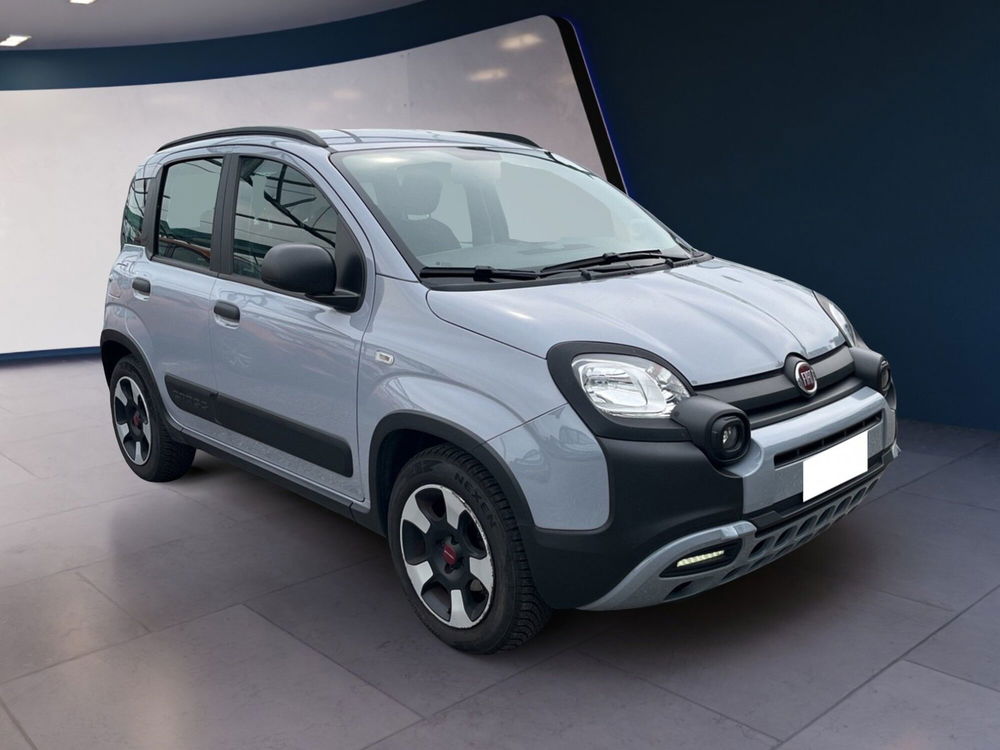 Fiat Panda Cross usata a Torino (3)