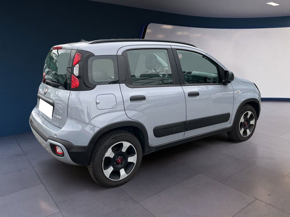 Fiat Panda Cross usata a Torino (4)