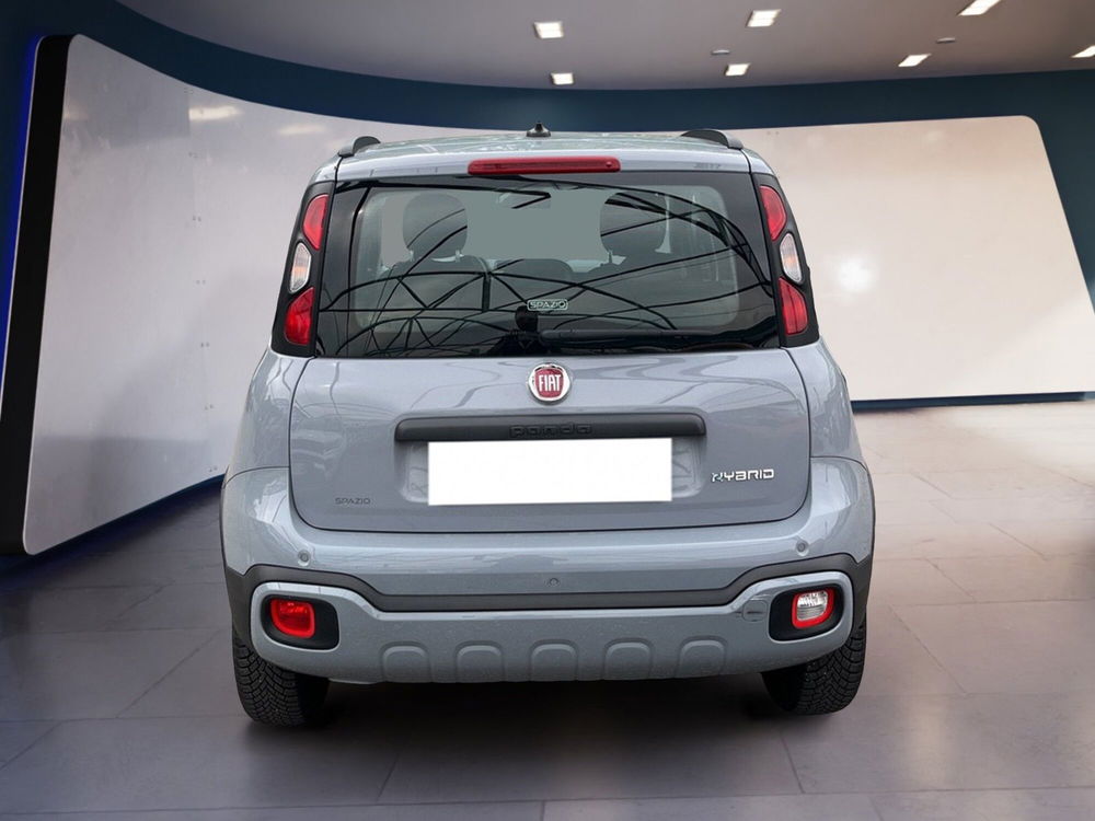 Fiat Panda Cross usata a Torino (6)