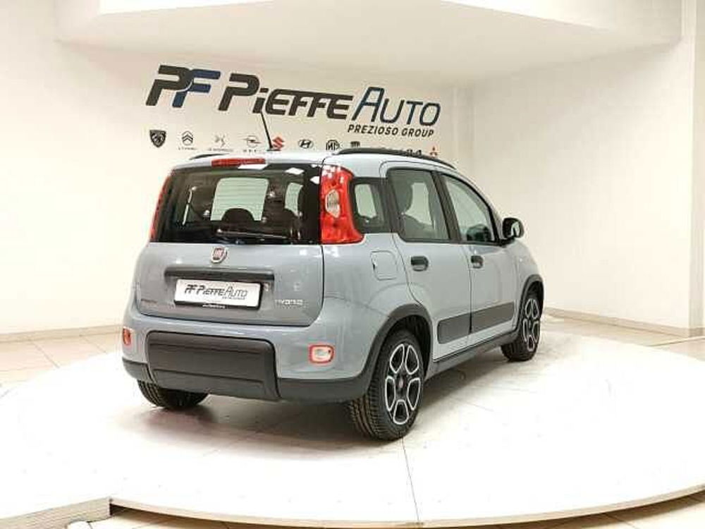 Fiat Panda usata a Teramo (4)