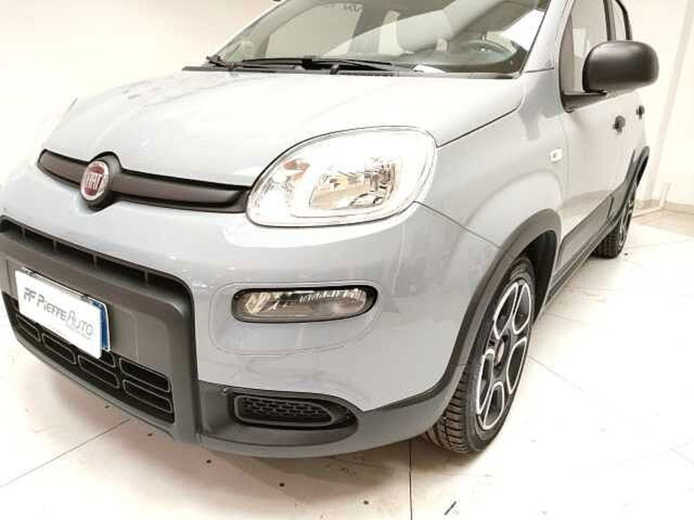 Fiat Panda usata a Teramo (8)