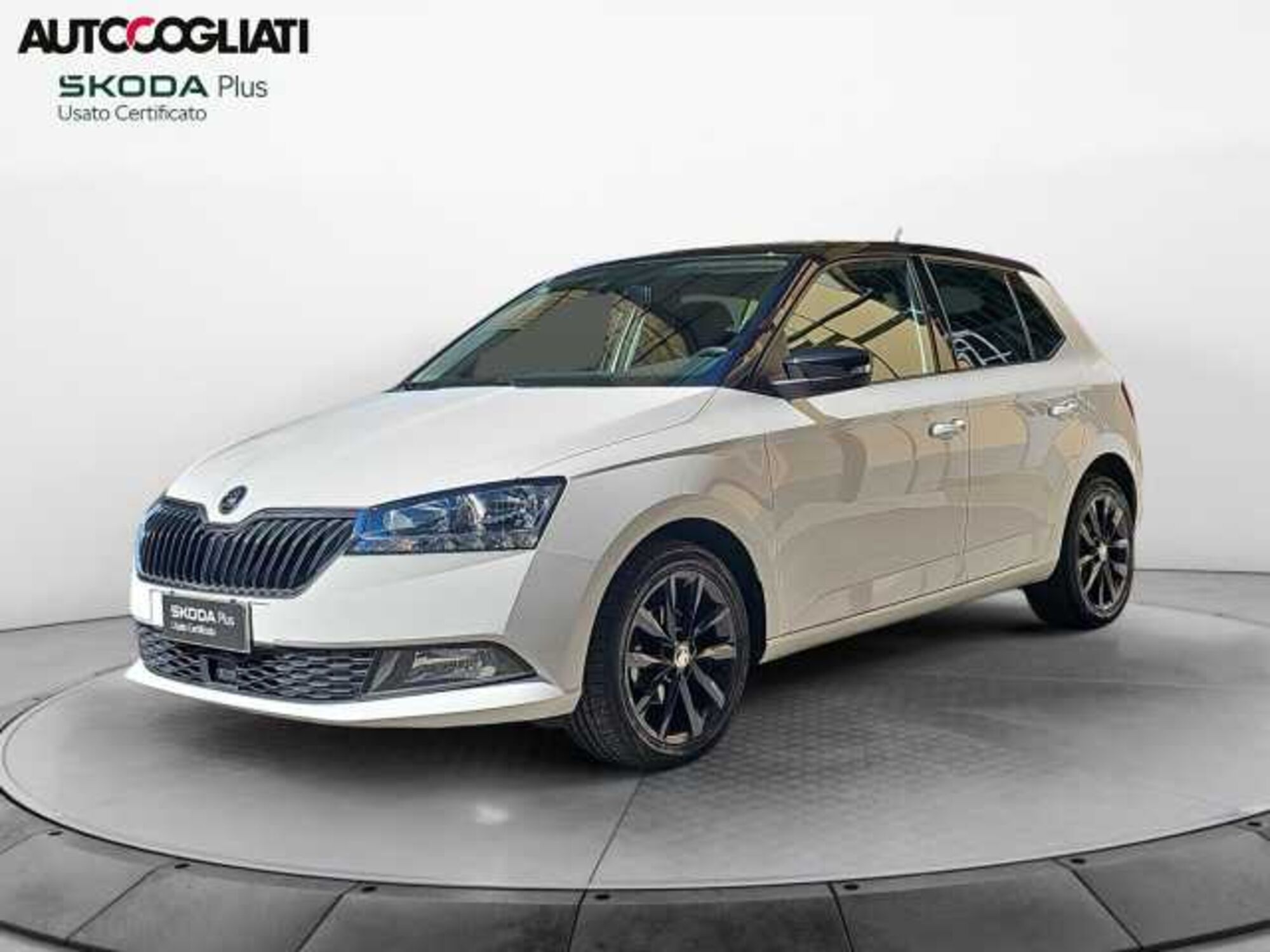 Skoda Fabia 1.0 MPI 60 CV Ambition del 2020 usata a Brivio