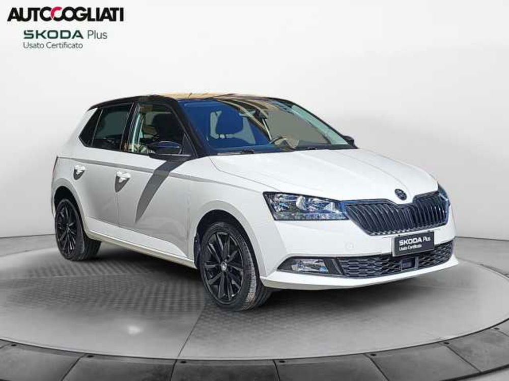 Skoda Fabia usata a Lecco (3)