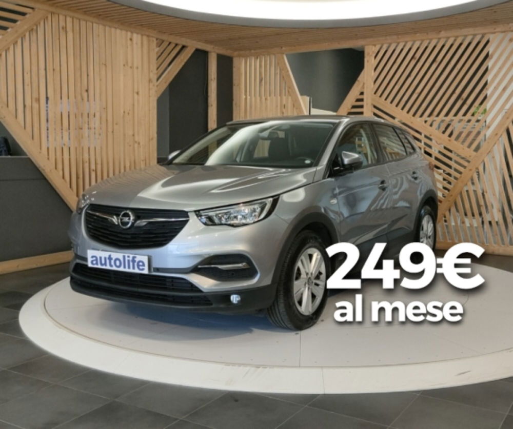 Opel Grandland X usata a Catanzaro