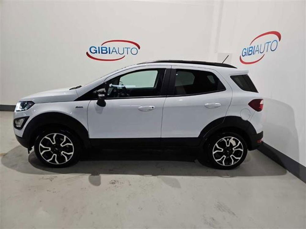 Ford EcoSport usata a Palermo (15)