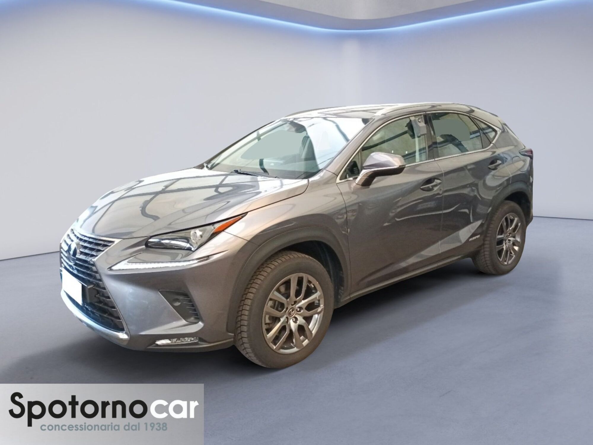 Lexus NX Hybrid 4WD Premium  del 2020 usata a Sesto San Giovanni