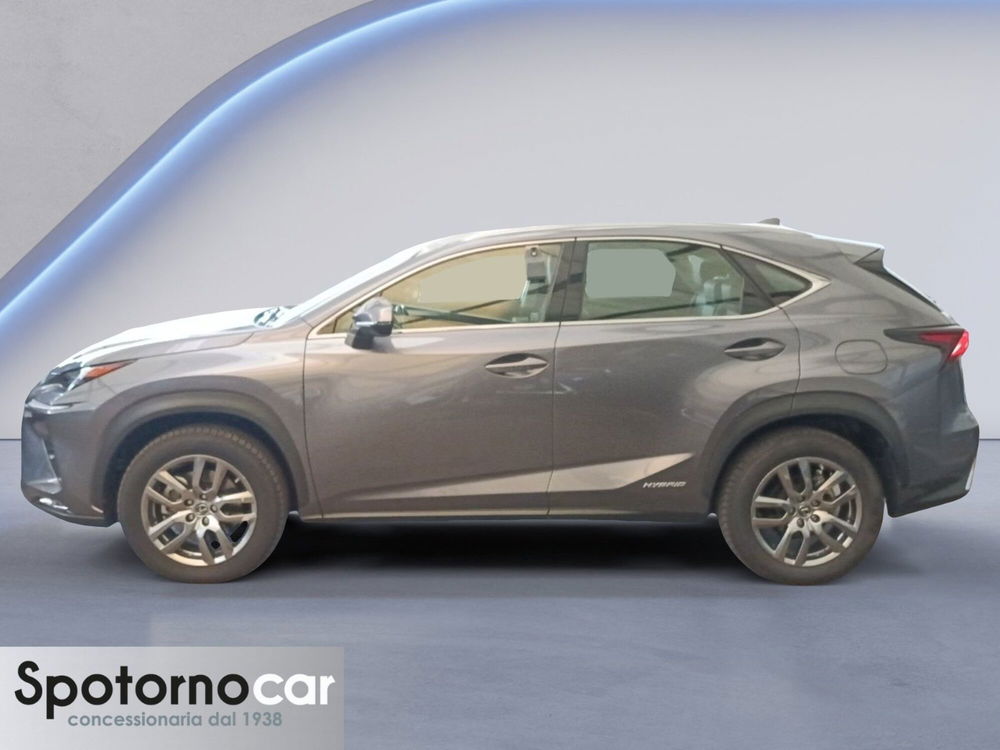 Lexus NX usata a Milano (3)