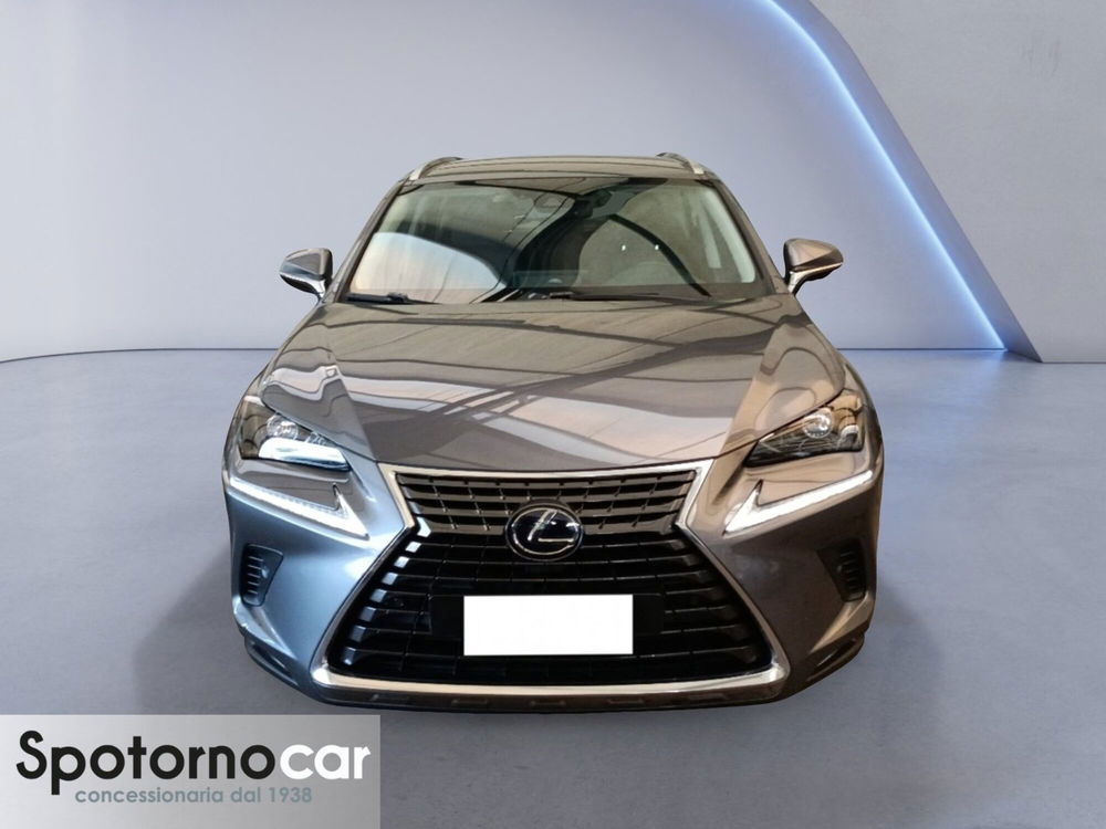 Lexus NX usata a Milano (4)