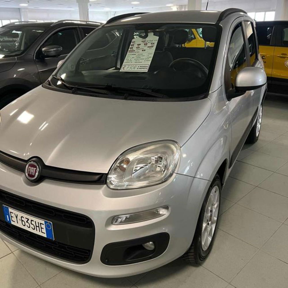 Fiat Panda usata a Ferrara