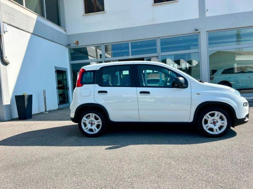 Fiat Panda Cross nuova a Firenze (4)