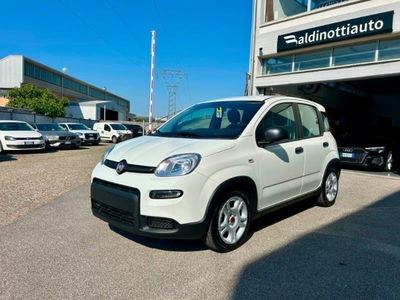 Fiat Panda Cross Cross 1.0 FireFly S&amp;S Hybrid  nuova a Empoli