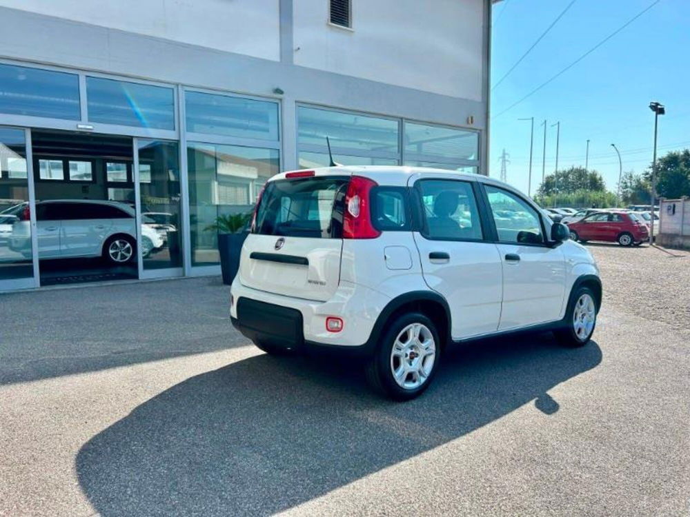 Fiat Panda Cross nuova a Firenze (5)