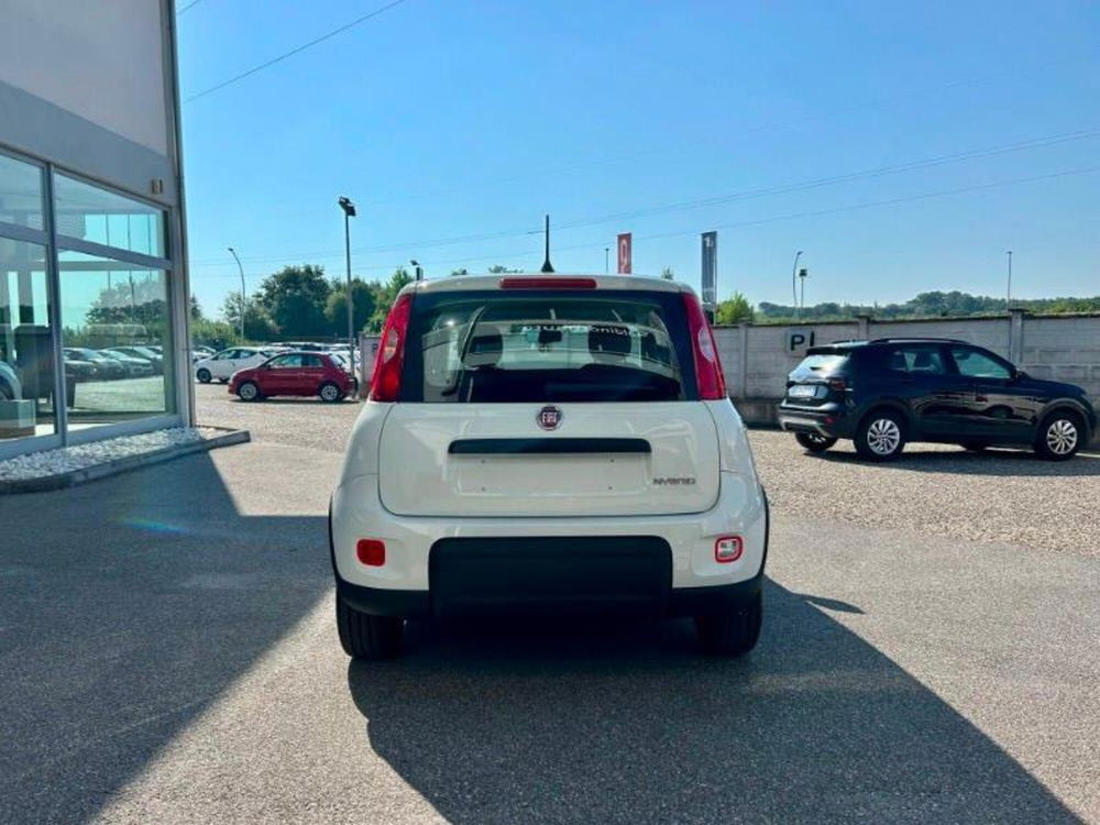 Fiat Panda Cross nuova a Firenze (6)