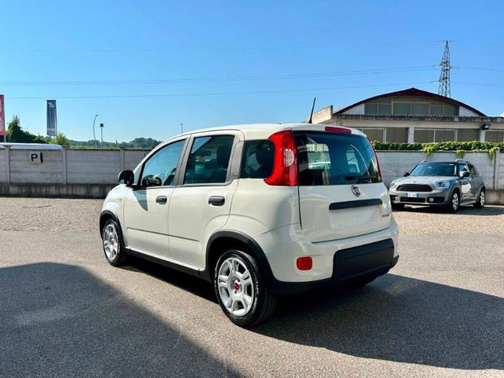 Fiat Panda Cross nuova a Firenze (7)