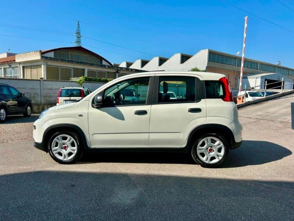 Fiat Panda Cross nuova a Firenze (8)