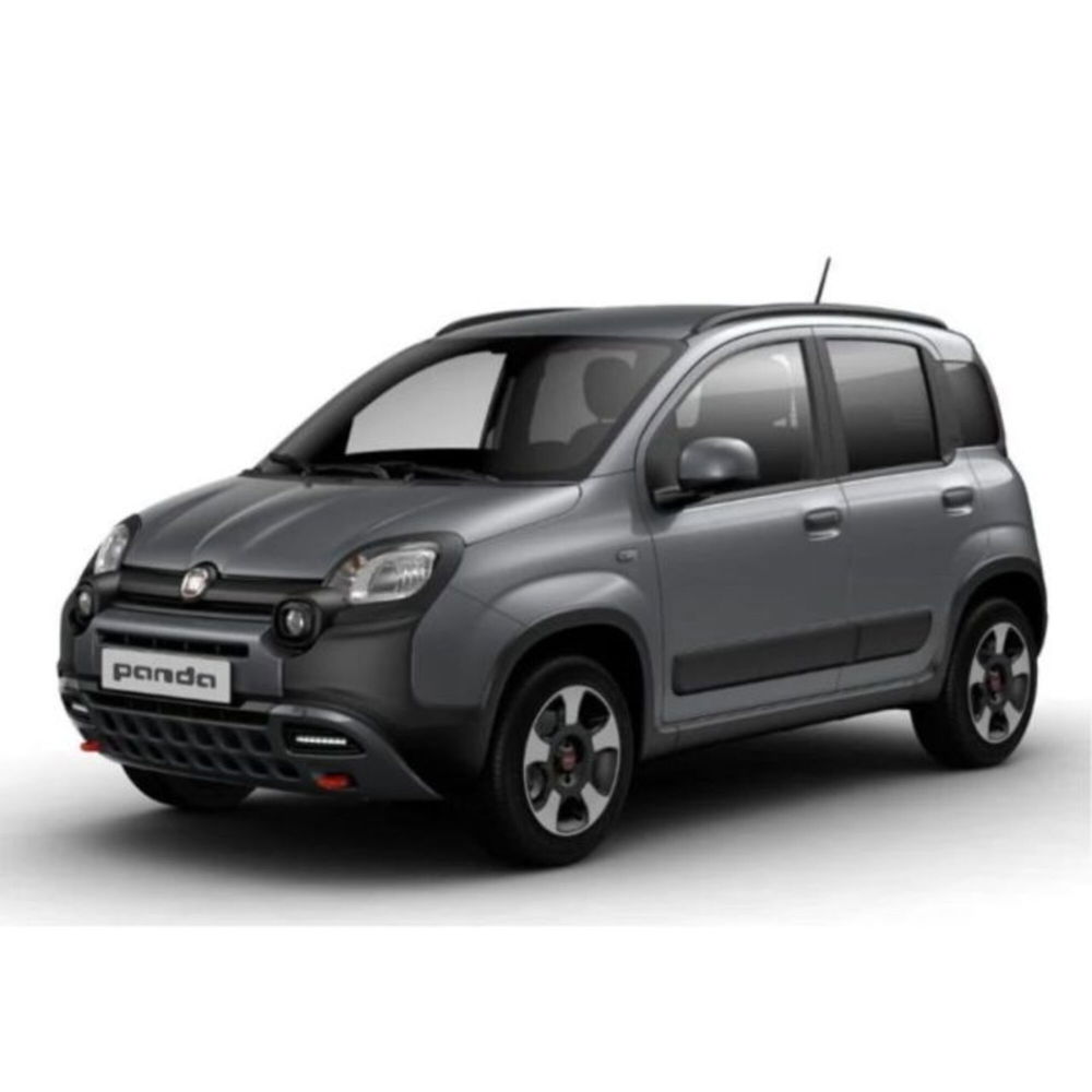 Fiat Panda usata a Messina