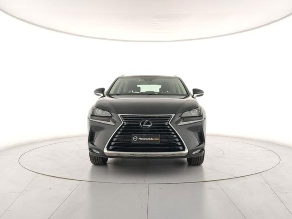 Lexus NX usata a Modena (7)