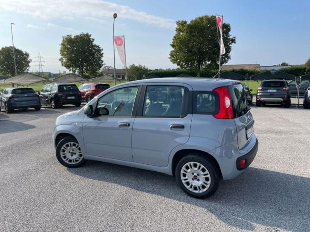 Fiat Panda usata a Pordenone (3)