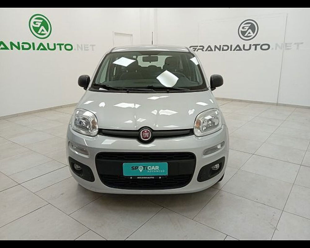 Fiat Panda usata a Alessandria (2)